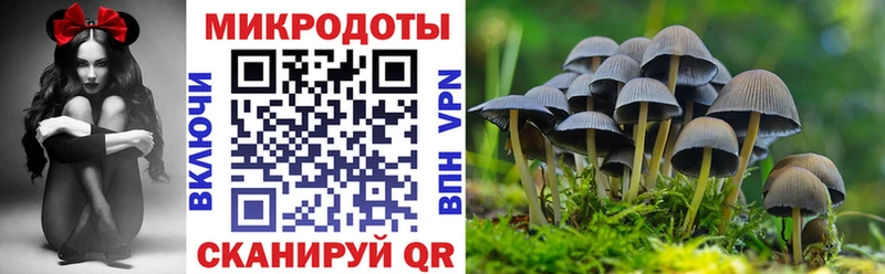 Псилоцибиновые грибы MAGIC MUSHROOMS  дарнет шоп  Сорочинск 