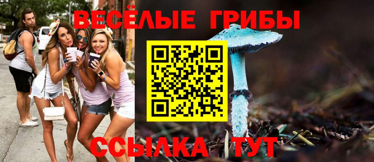 Псилоцибиновые грибы Magic Shrooms  закладка  Вход с VPN  Сорочинск  Галлюциногенные грибы Cubensis 